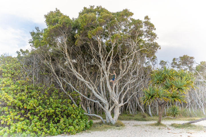 Bronwen, Micro Island Vibe Festival, Stradbroke Island