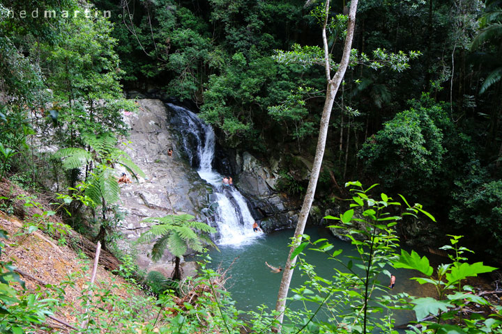 Cougal Cascade, Currumbin Creek