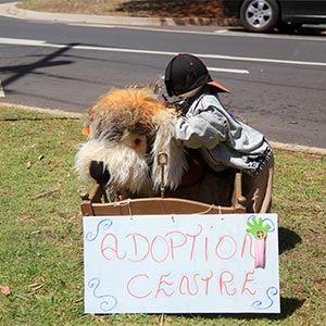 Tamborine Mountain Scarecrow Festival