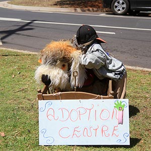 Tamborine Mountain Scarecrow Festival