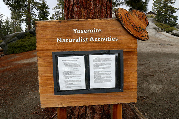 Yosemite Naturalist Activities