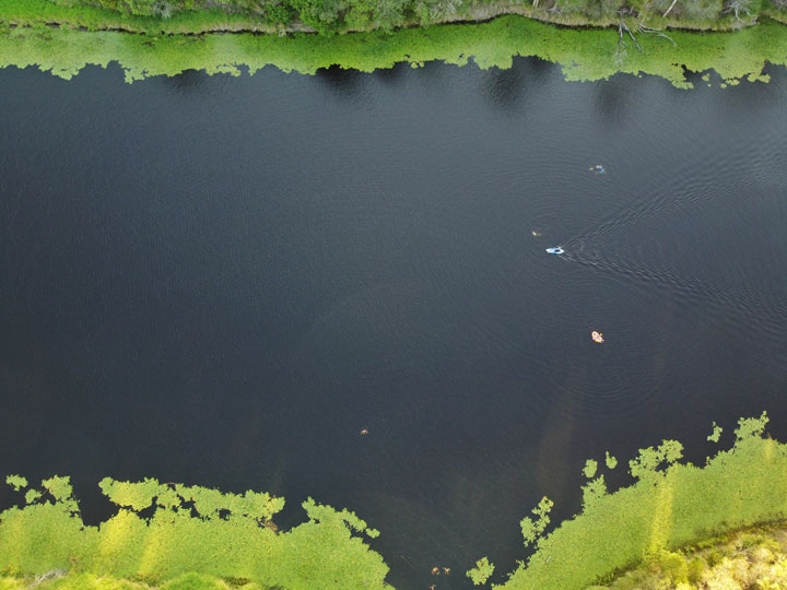 Enoggera Reservoir