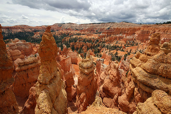 Hoodoos in the Bryce Canyon National Park