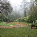 Scarecrows at Tamborine Mountain