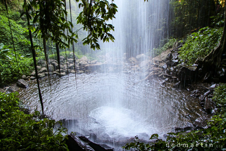 Crystal Shower Falls, Dorrigo