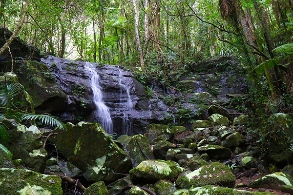 A small creek flows over some rocks