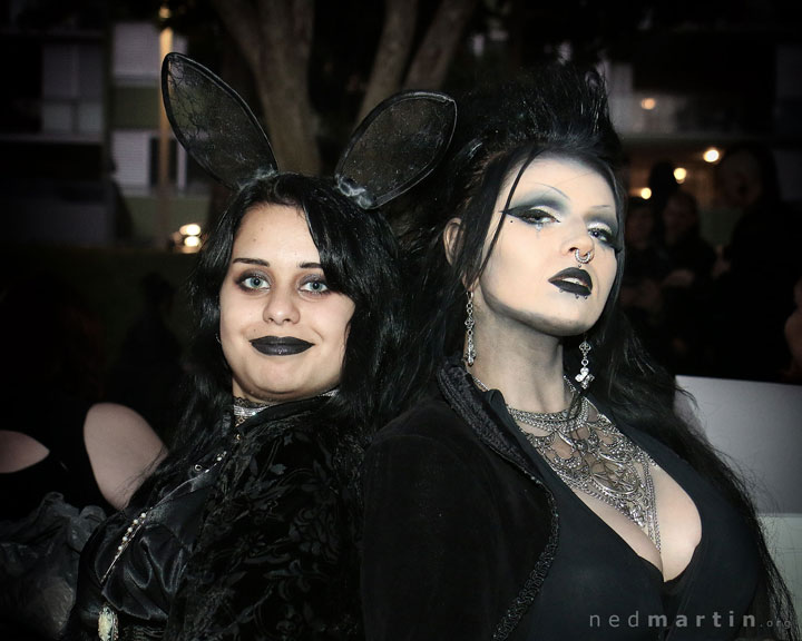 The Brisbane Gothic and Alternative Picnic