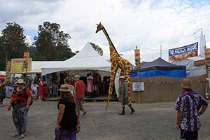 The Amazing Woodford Folk Festival