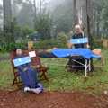 Scarecrows at Tamborine Mountain