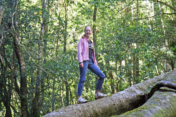 Bronwen, Coomera Circuit