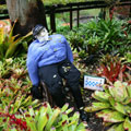 Scarecrows at Tamborine Mountain