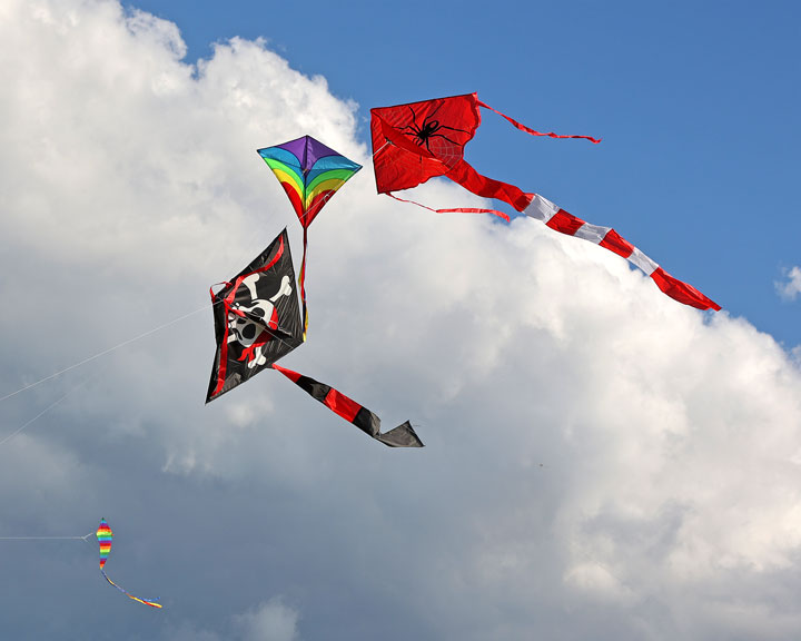 74th Independence Day of India and Gold Coast Kite Festival, HOTA, Gold Coast