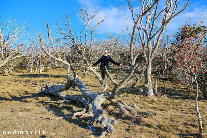 Bronwen, Alpine Way, Snowy Mountains