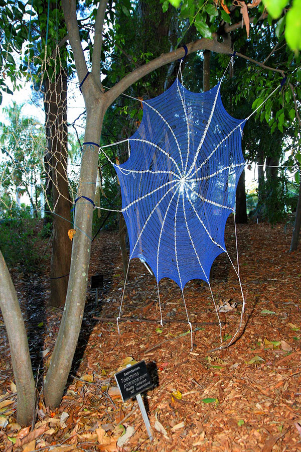 Spiderwebs, Mount Coot-Tha Botanic Gardens