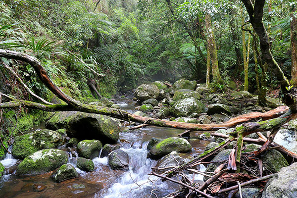 One of the many creek crossings