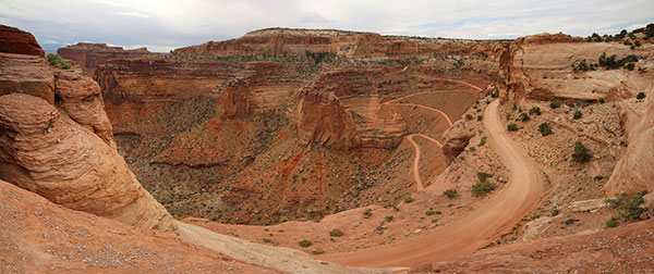 A canyon in Canyonlands National Park