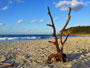 Going for an afternoon stroll along Stradbroke Island