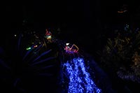 Everton Hills Christmas Lights