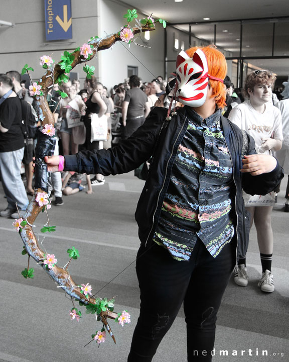 Brisbane Supanova 2017