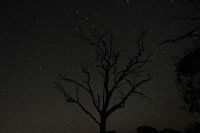 Starry sky at Pittsworth