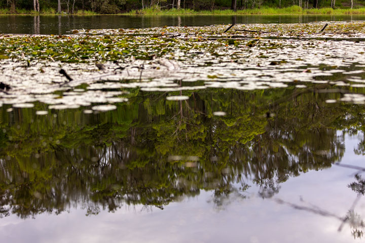 Enoggera Reservoir