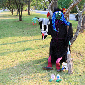 Mount Tamborine Scarecrows