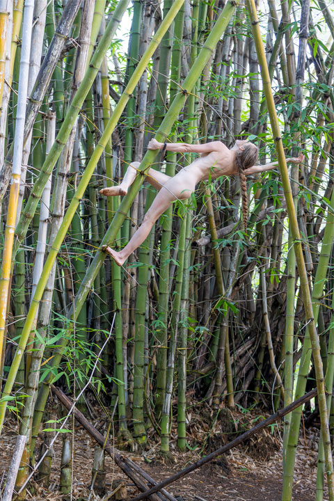 Bronwen climbing bamboo naked, Enoggera Reservoir