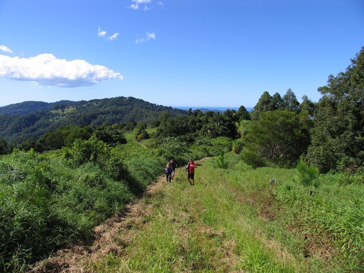 Bronwen, Ned & Clint, Mt Cougal Bushwalk