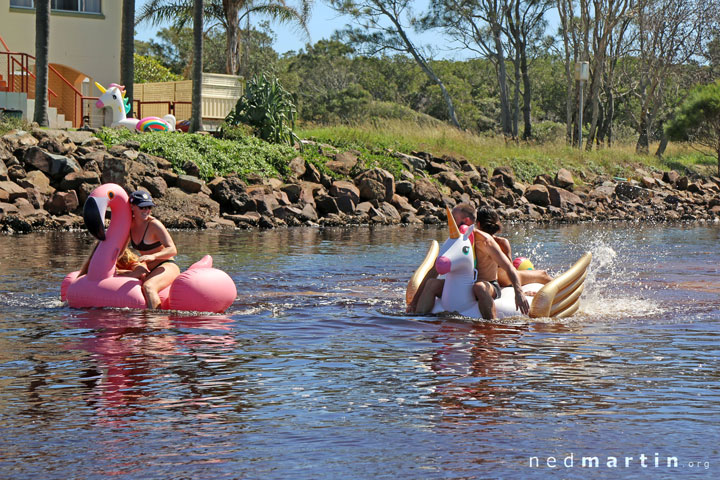 Bronwen, Hannah, Tim & Wendy in the great Flamingo Race of Crescent Head