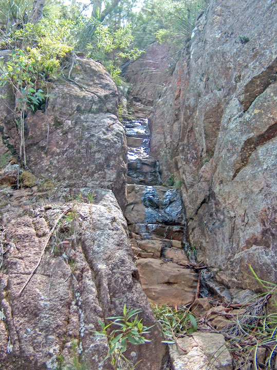 Bushwalk up Mt Barney  via South (Peasant's) Ridge