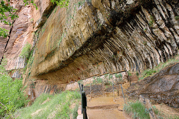 Zion National Park’s Weeping Rock