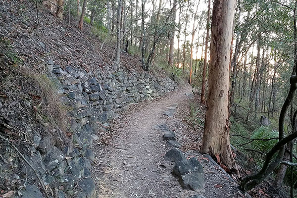 Walking up Mount Gravatt