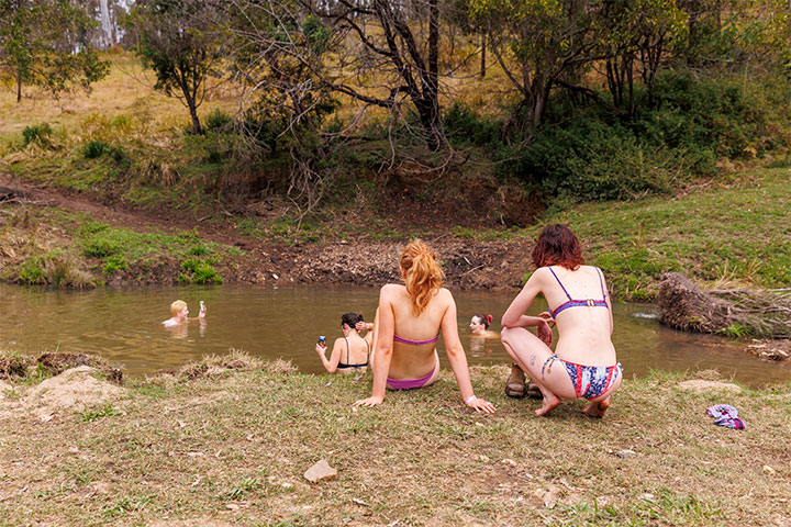 The Creek, Jungle Love Festival 2022