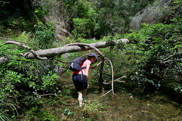 Bronwen wading through water