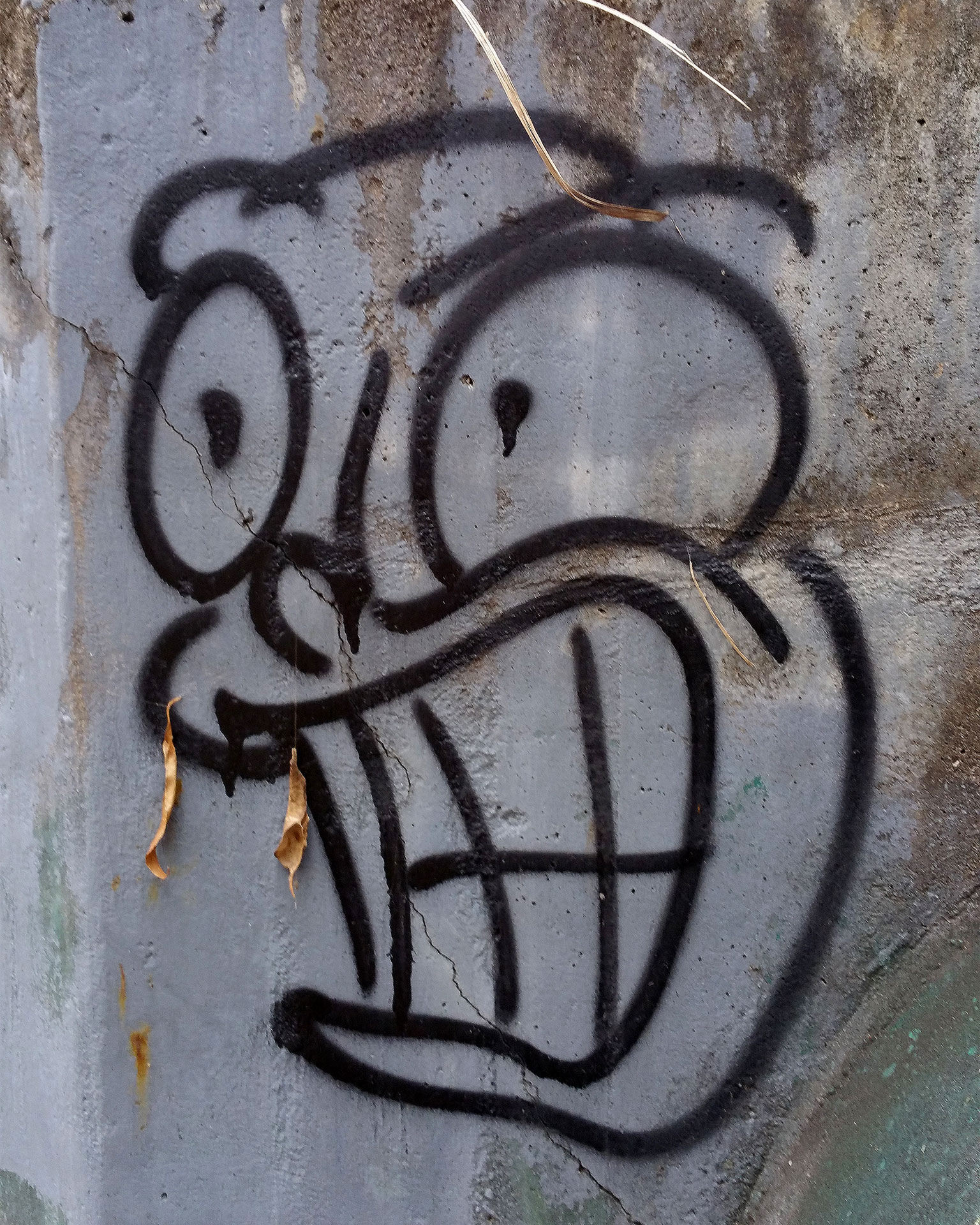 Funny grafitti face on Mount Gravatt