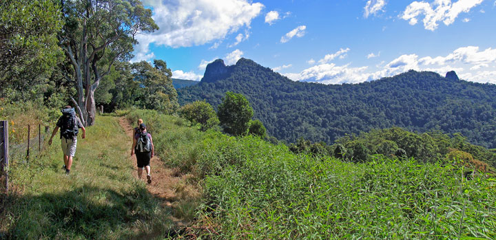 Ned, Bronwen & Lisa, Mt Cougal Bushwalk