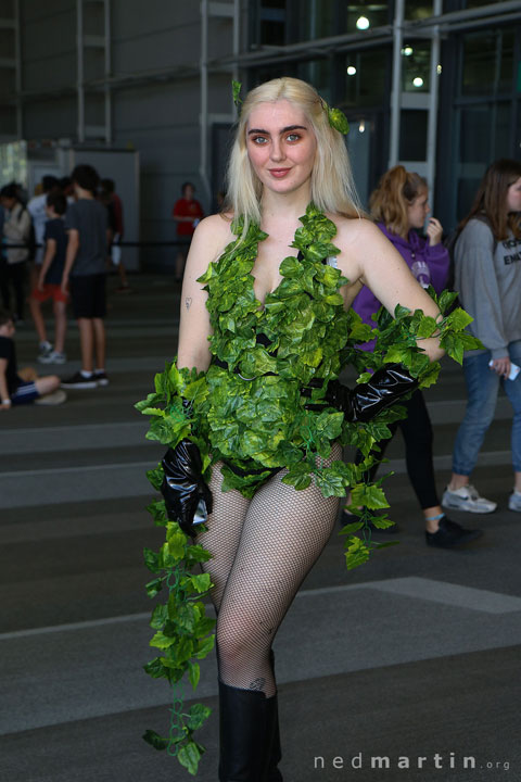 Brisbane Supanova 2017