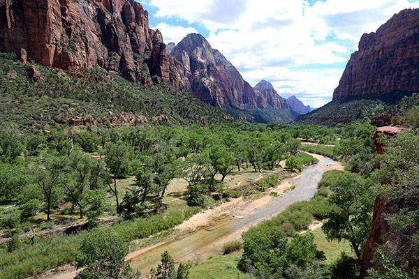 Virgin River flowing through the canyon