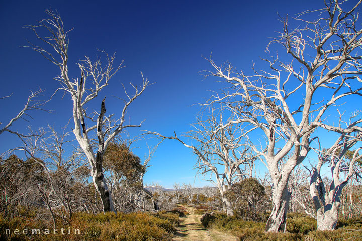 Walking to Four Mile Hut, Selwyn Snow Resort, Snowy Mountains