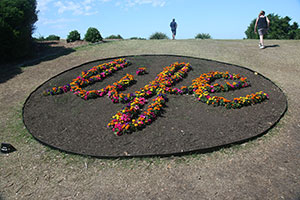 Sculpture by the Sea