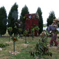 Scarecrows at Tamborine Mountain