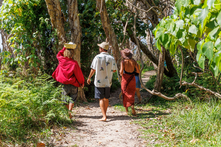 Micro Island Vibe Festival, Stradbroke Island