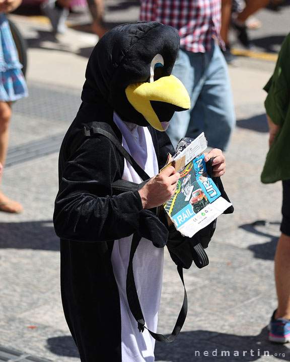 Freedom Rally, Brisbane