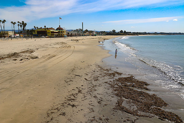 The beach at Santa Cruz