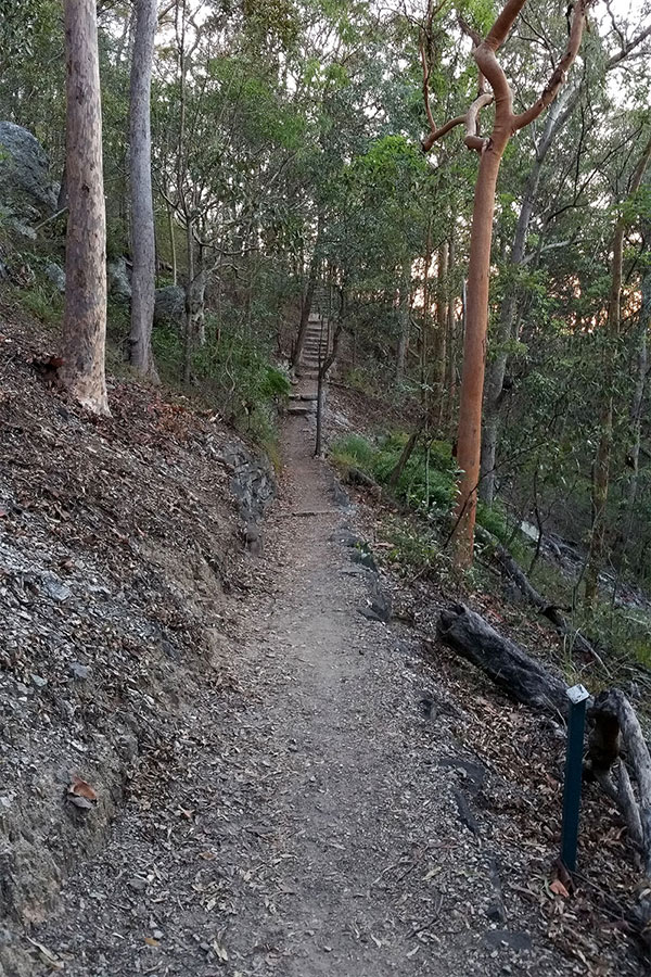 Walking up Mount Gravatt