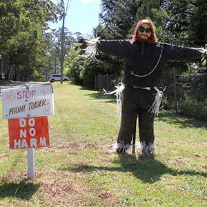 Tamborine Mountain Scarecrow Festival