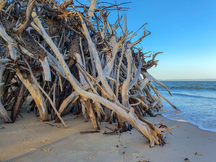 Driftwood huts, Woody Bay, Bribie Island