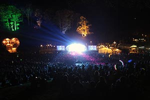 The Amazing Woodford Folk Festival