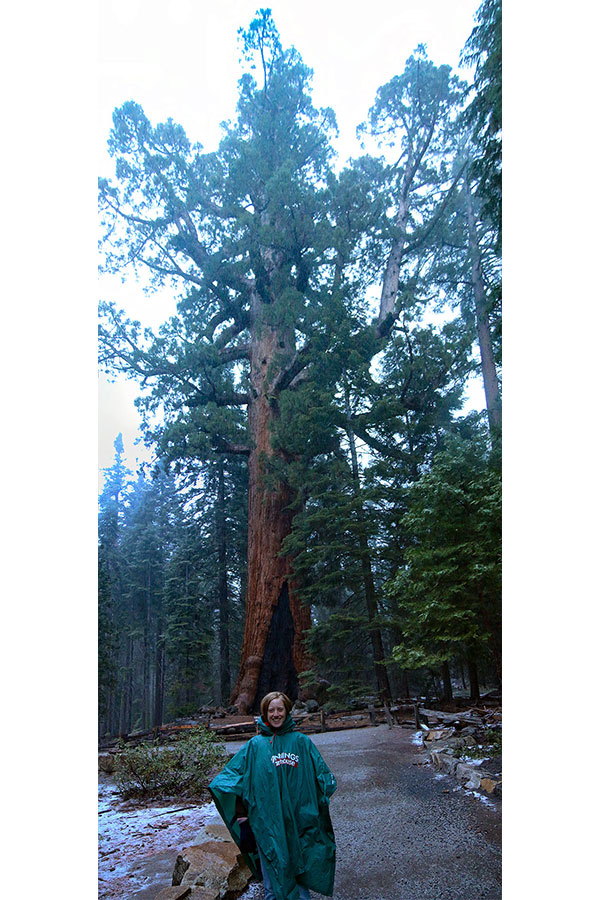 Bronwen in front of Grizzly Giant