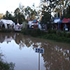 Woodford Folk Festival